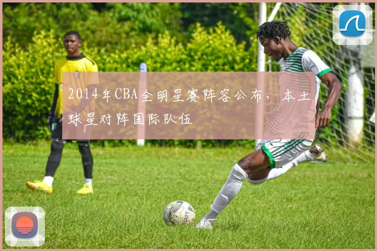 2014年CBA全明星赛阵容公布，本土球星对阵国际队伍